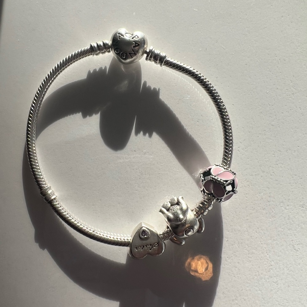 Pandora Charm Bracelet